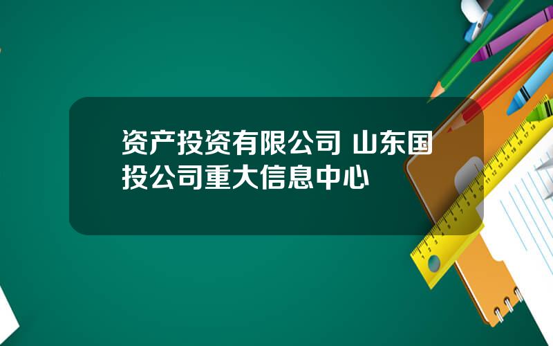 资产投资有限公司 山东国投公司重大信息中心